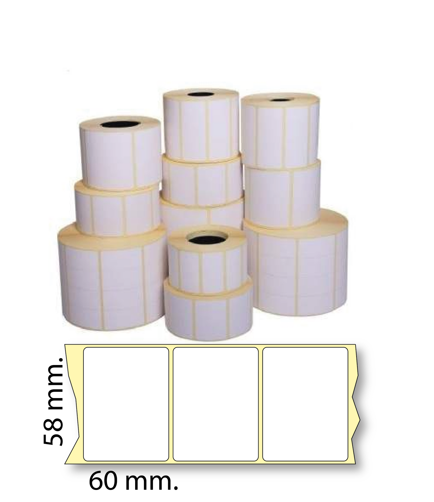 Etichette TERMICHE ADESIVE 58x60